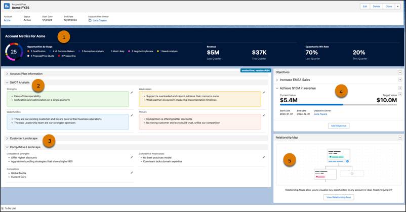 Optimize Your Strategic Planning with Account Plans - Ad Victoriam Salesforce Blog