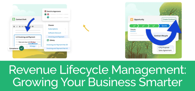 Revenue Lifecycle Management: Growing Your Business Smarter - Ad Victoriam Salesforce Blog